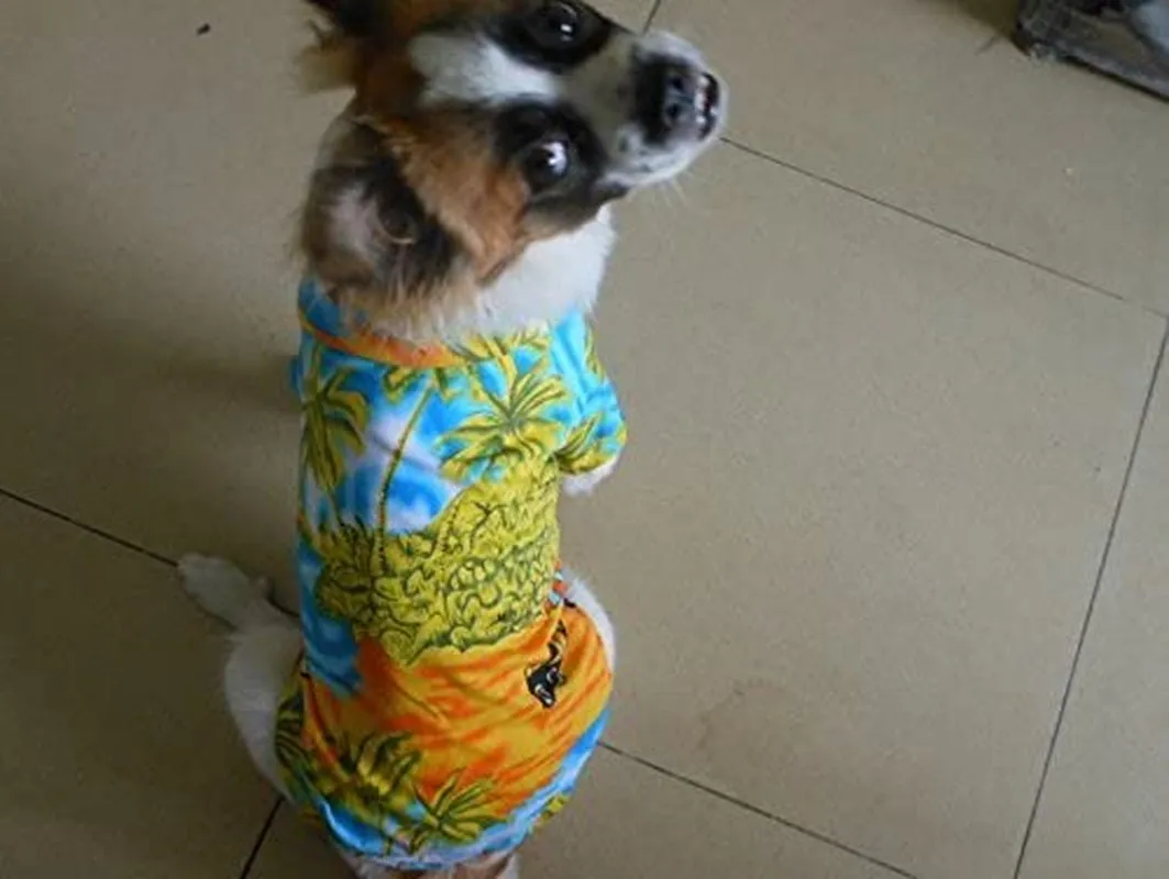 Hawaiian Beach Coconut Tree Print Dog Shirt Summer Camp Shirt Clothes (Yellow M)