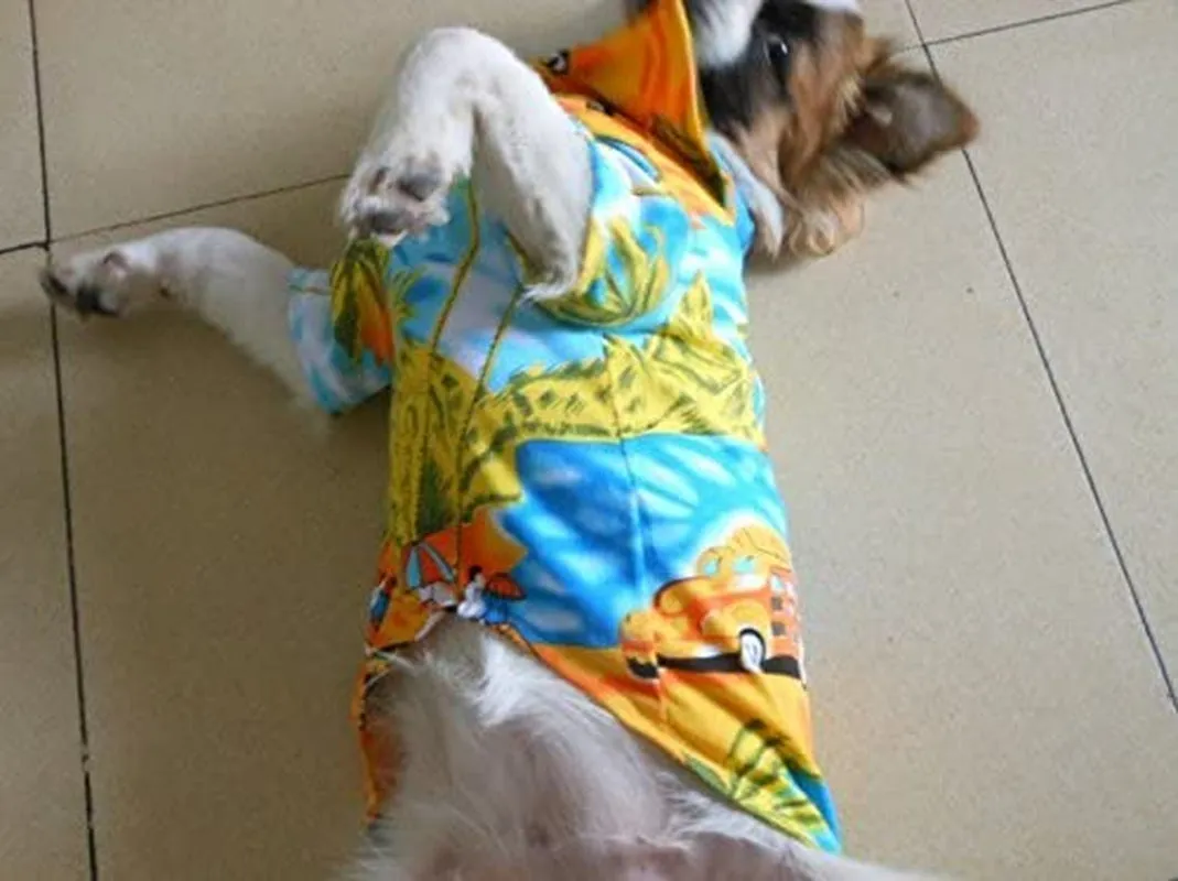 Hawaiian Beach Coconut Tree Print Dog Shirt Summer Camp Shirt Clothes (Yellow M)