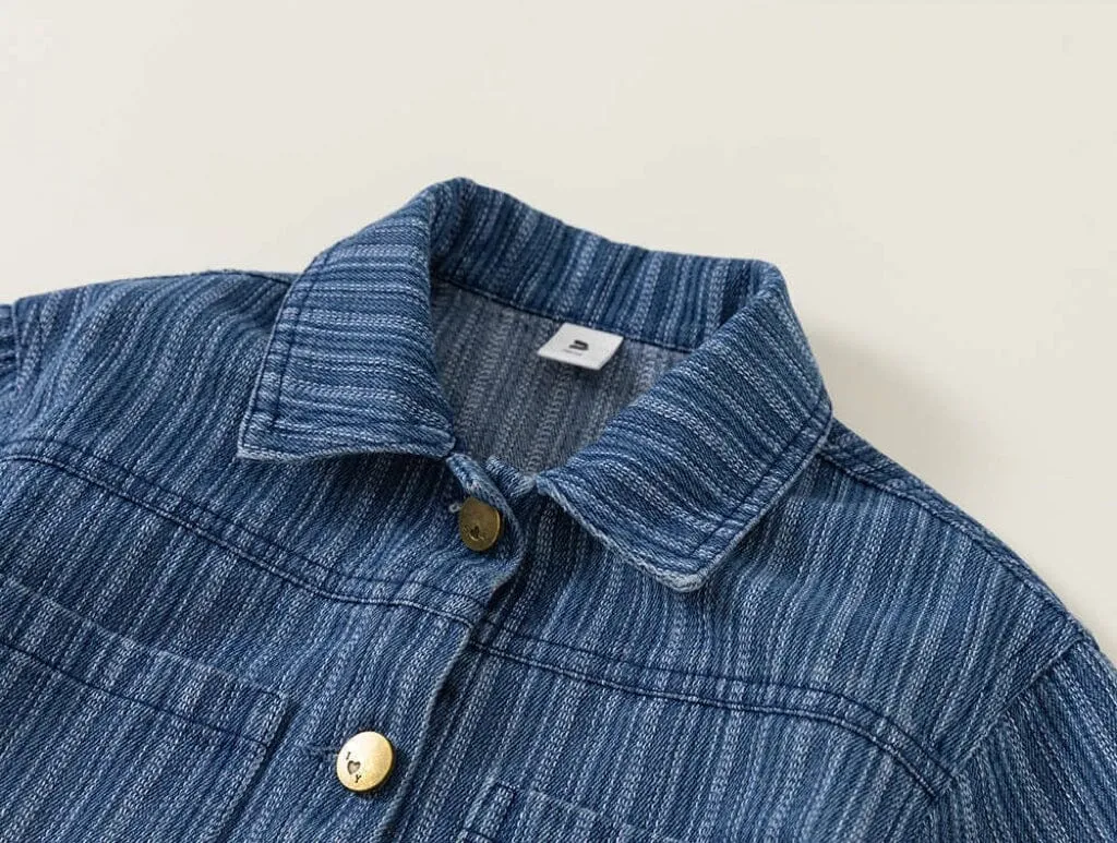 Hudson Vertical Stripe Denim Jacket