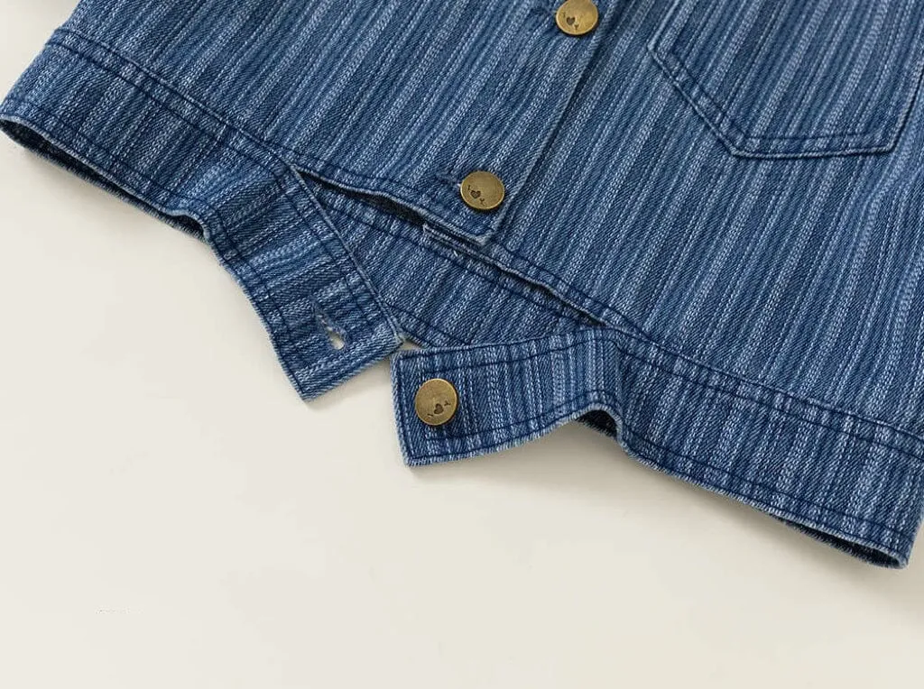 Hudson Vertical Stripe Denim Jacket