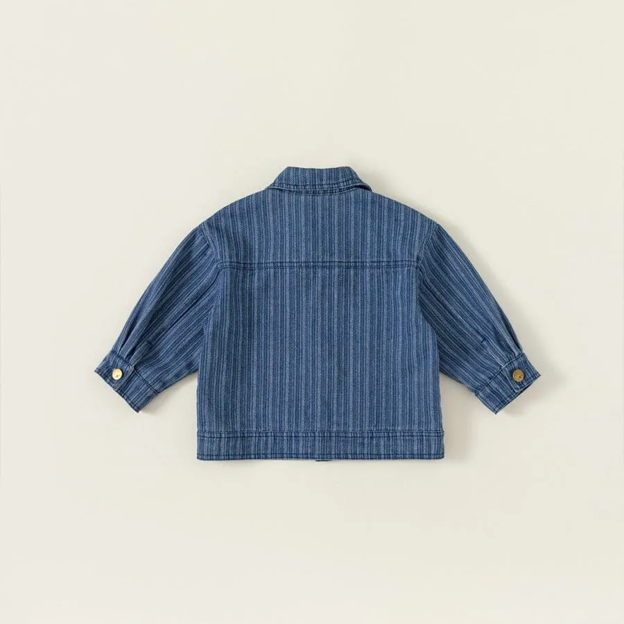 Hudson Vertical Stripe Denim Jacket